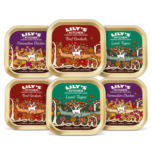 Lily’s Kitchen Dog World Dishes Trays Multipack 6×150 g 6x150 imagine 2022
