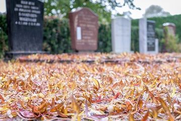 weduwepensioen en wezenpensioen