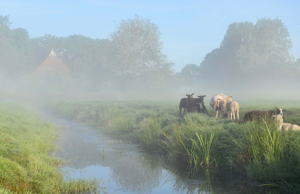 Dutch pension