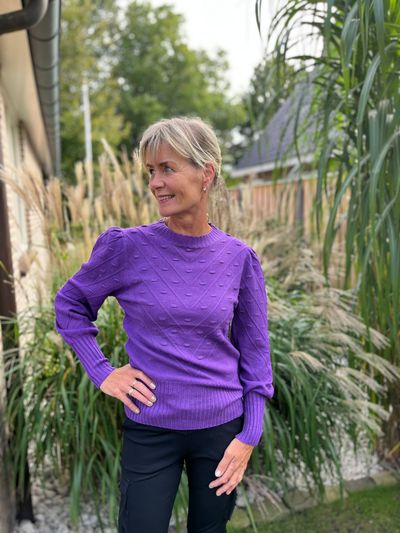 Foto van Truitje paars iris 