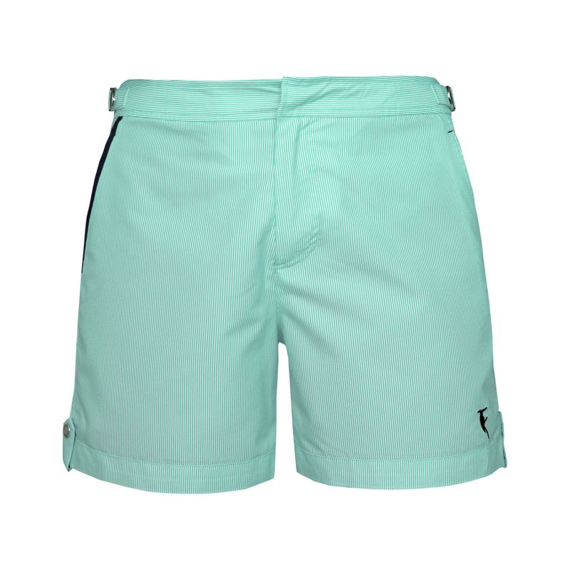 Tampa Stripes Hint of Mint, détouré