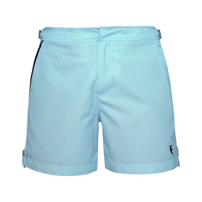 Tampa Stripes Maya Blue, détouré