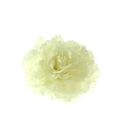 Foto van Zacharia | Witte roos op haarclip en broche 