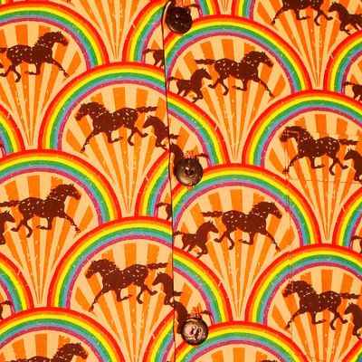 Foto van Chenaski | Overhemd korte mouw, Rainbows & Horses regenboog