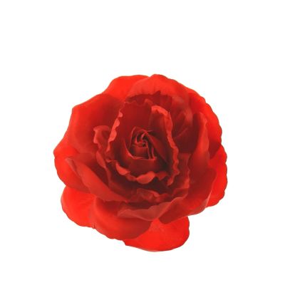 Foto van Zacharia | Grote rode roos op haarclip en brochspeld