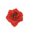 Afbeelding van Zacharia | Rode roos op haarclip en broche 