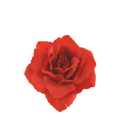 Foto van Zacharia | Rode roos op haarclip en broche 