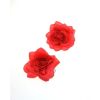 Afbeelding van Zacharia | Paar, kleine rode bloemetjes op haarclips 