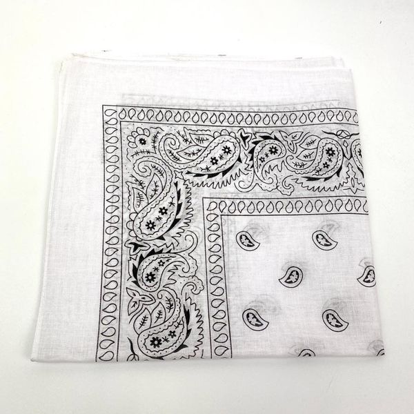 Onkar | Bandana haarband en sjaal met paisley patroon, Wit