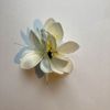 Afbeelding van Zacharia | Kleine witte lelies op haarclip en broche 