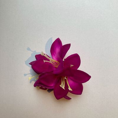 Foto van Zacharia | Kleine roze lelies op haarclip en broche 
