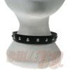 Afbeelding van Leren halsband, 18mm met 1 rij kleine zilverkleurige conical studs
