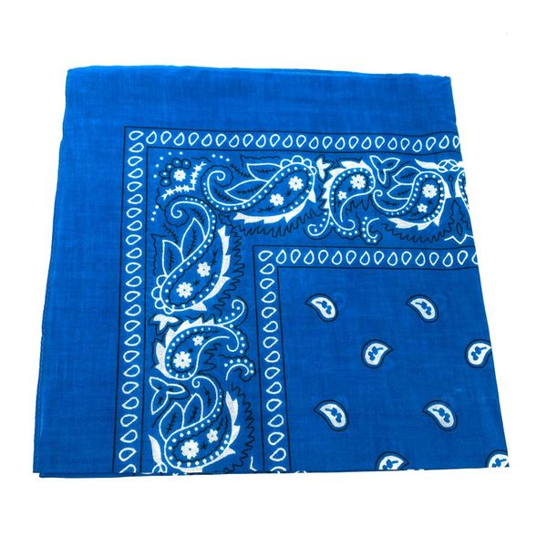 Onkar | Bandana haarband en sjaal met paisley patroon, Turquoise