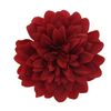 Afbeelding van Zacharia | Bordeaux rode chrysant op haarclip en broche 