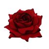 Afbeelding van Zacharia | Grote rode roos met zwart randje op haarclip