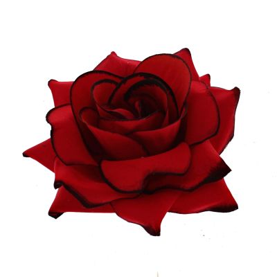 Foto van Zacharia | Grote rode roos met zwart randje op haarclip