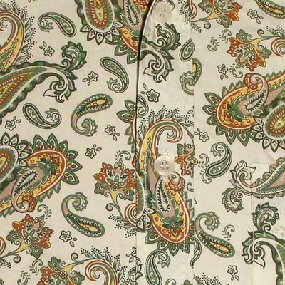 Foto van Chenaski | Retro 70's overhemd, creme, groene paisley