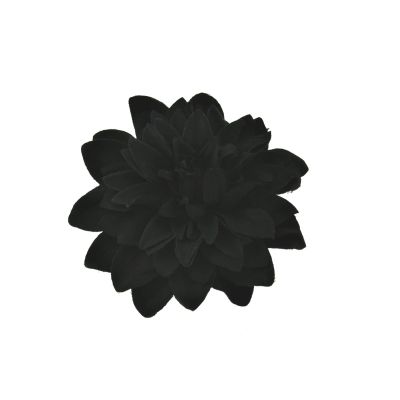 Foto van Zacharia | Zwarte chrysant op haarclip en broche 