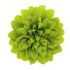 Afbeelding van Zacharia | Lime groene chrysant op haarclip en broche 