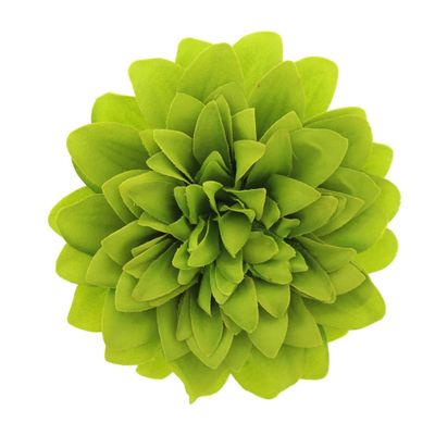 Foto van Zacharia | Lime groene chrysant op haarclip en broche 