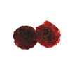 Afbeelding van Zacharia | Bloedrode roos op haarclip en broche 