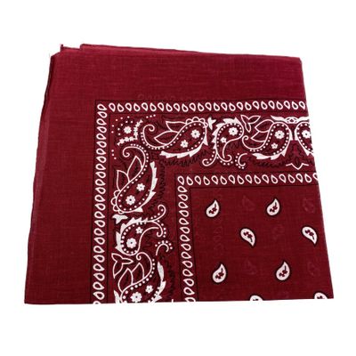 Foto van Onkar | Bandana haarband en sjaal met paisley patroon, Bordeaux