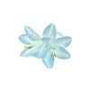 Afbeelding van Zacharia | Baby blauwe lelies op haarclip en brochspeld