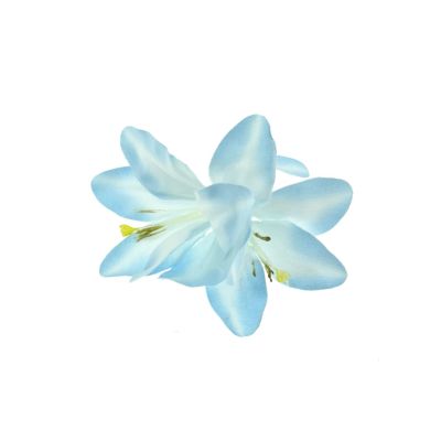 Zacharia | Baby blauwe lelies op haarclip en brochspeld