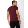 Afbeelding van Green Bomb | T-shirt Bike highway, aubergine rood bio katoen