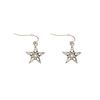 Afbeelding van Zacharia | Goth oorbellen met dubbele wicca pentagram hangertjes