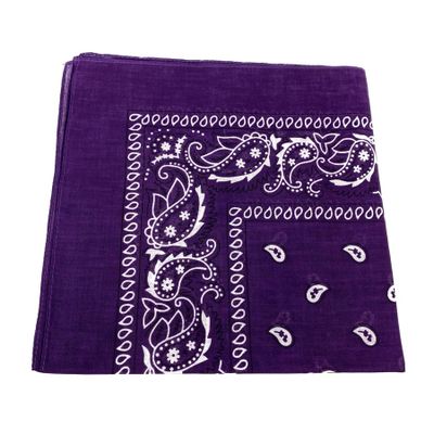 Foto van Onkar | Bandana haarband en sjaal met paisley patroon, Dark Purple 