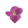 Afbeelding van Zacharia | Paars roze orchidee op haarclip en broche 