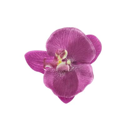 Foto van Zacharia | Paars roze orchidee op haarclip en broche 