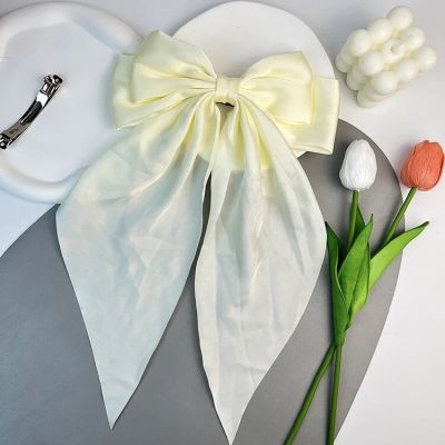 Foto van Zacharia | Grote creme satijnen strik met linten op een haarklip