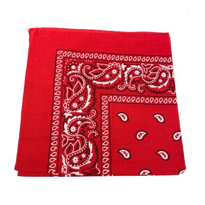 Foto van Onkar | Bandana haarband en sjaal met paisley patroon, Rood
