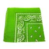 Afbeelding van Onkar | Bandana haarband en sjaal met paisley patroon, Lemon Green