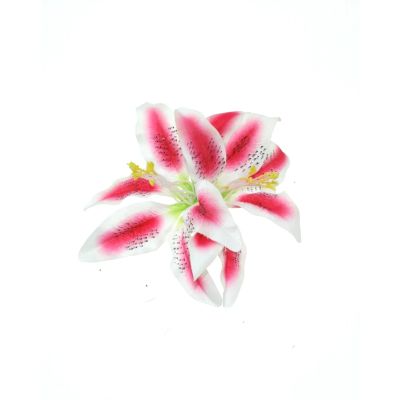Foto van Zacharia | Grote roze en witte lelies op haarclip
