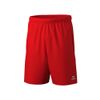Afbeelding van ERIMA TEAM shorts Unisex | rood | 2152404