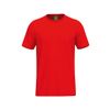 Afbeelding van ERIMA TS T-Shirt Kinderen | rood | 2082651