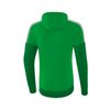 Afbeelding van Squad sweatshirt met capuchon Kinderen | fern green/smaragd/ silver grey | 1072008