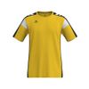 Afbeelding van ERIMA CELEBRATE 125 T-Shirt function Unisex | geel/zwart | 1082527