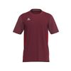 Afbeelding van ERIMA T&F WINGS T-Shirt function Unisex | bordeaux/rood | 8082606