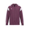 Afbeelding van ERIMA CELEBRATE 125 Training Jacket with hood Unisex | burgundy/lavender | 1032630