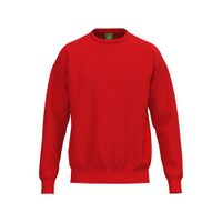 ERIMA TS Sweatshirt Unisex | rood | 2072615