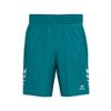 Afbeelding van ERIMA CELEBRATE 125 Shorts Kinderen | tahitian blue | 1152605