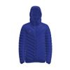 Afbeelding van ERIMA CMPT Puffer Jacket Unisex | new royal | 2062423