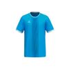Afbeelding van ERIMA LIBERO 125 Jersey Unisex | curaçao | 3132524
