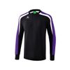 Afbeelding van Liga 2.0 sweatshirt | zwart/donker violet/wit | 1071870