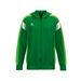 ERIMA CELEBRATE 125 Training Jacket with hood Unisex | smaragd/green gecko | 1032531