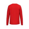 Afbeelding van ERIMA INTRO Sweatshirt Unisex | rood | 1072603